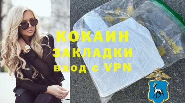 шишки Балахна