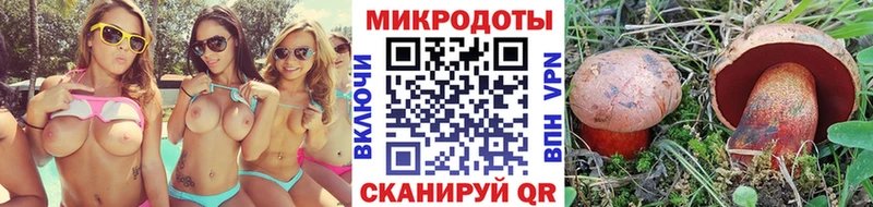 Галлюциногенные грибы ЛСД  Купить где  Кондопога 